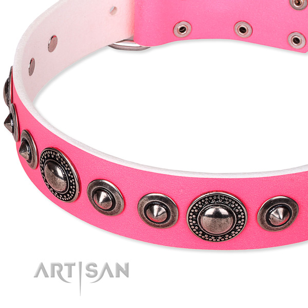 Handy use studded dog collar of top quality full grain leather