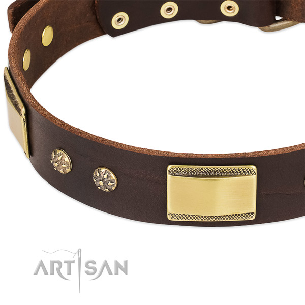 Corrosion proof fittings on genuine leather dog collar for your four-legged friend