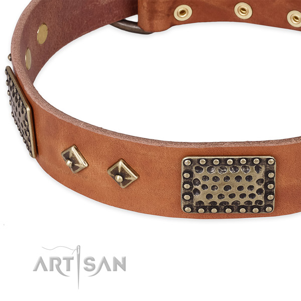Reliable studs on full grain genuine leather dog collar for your pet