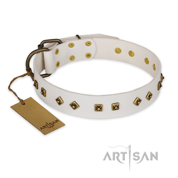Unusual full grain leather dog collar with corrosion resistant buckle