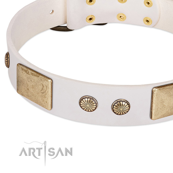 Rust resistant D-ring on natural leather dog collar for your canine