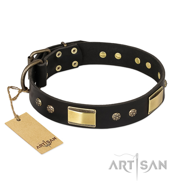 Unusual full grain natural leather collar for your doggie