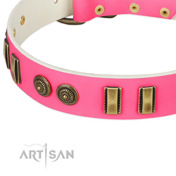 Rust-proof adornments on genuine leather dog collar for your canine