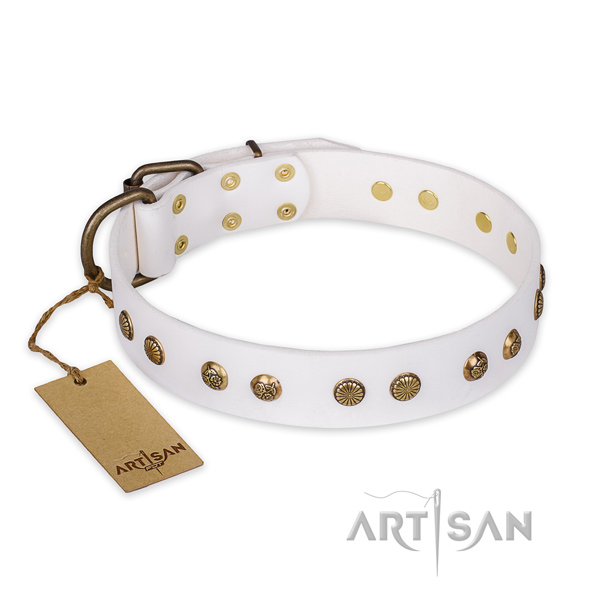 Top quality genuine leather dog collar with reliable D-ring