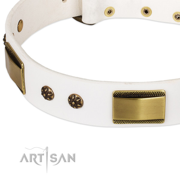 Strong embellishments on full grain leather dog collar for your canine
