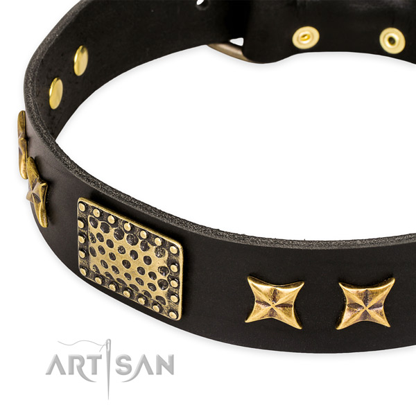 Genuine leather collar with reliable D-ring for your beautiful dog
