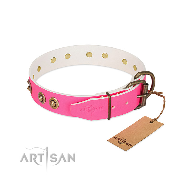 Full grain natural leather dog collar with corrosion resistant traditional buckle and embellishments
