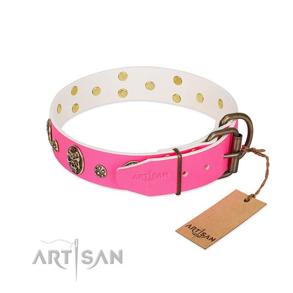 Strong buckle on full grain leather collar for stylish walking your four-legged friend