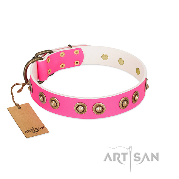 Incredible genuine leather dog collar for everyday walking