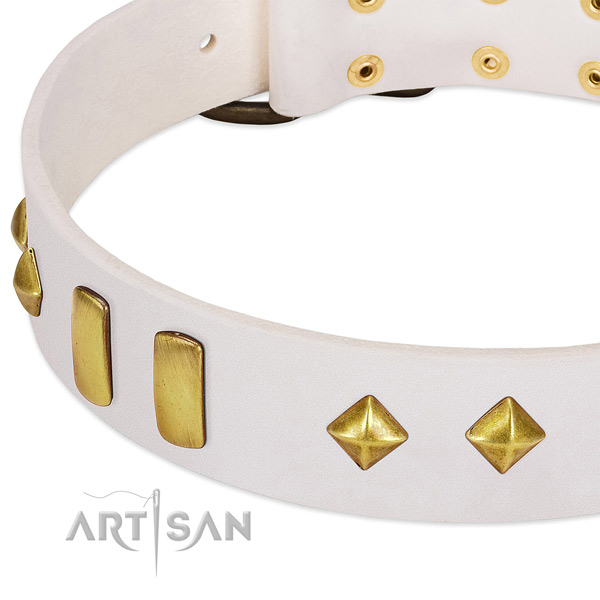 Quality leather dog collar with corrosion resistant buckle