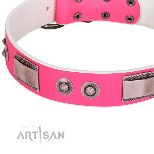 Exceptional leather collar with embellishments for your doggie
