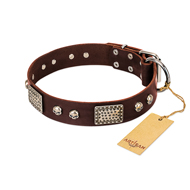 "Pirate Skull" FDT Artisan Brown Leather American Bulldog Collar with Old Silver Look Plates and Skulls