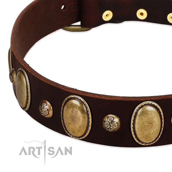 Genuine leather dog collar with incredible studs