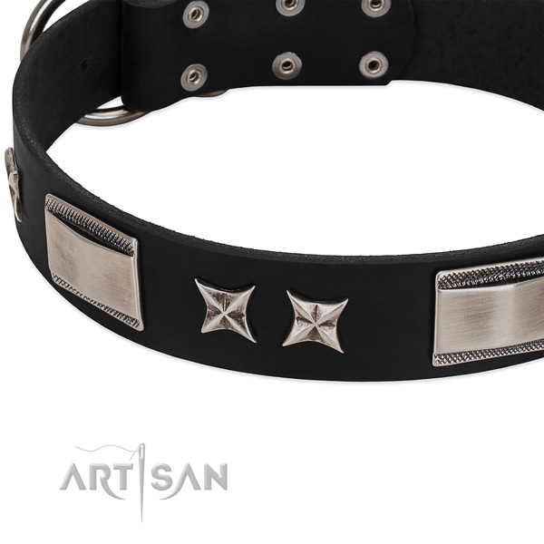 Reliable genuine leather dog collar with reliable traditional buckle