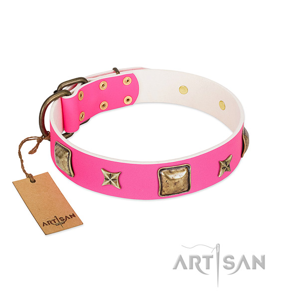 Full grain leather dog collar of top rate material with unusual embellishments