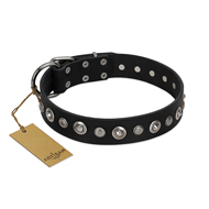 "Genteel Charm" FDT Artisan Black Leather American Bulldog Collar with Silver-like Round Conchos