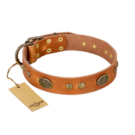 "Sun Beams" FDT Artisan Tan Leather American Bulldog Collar with Decorations