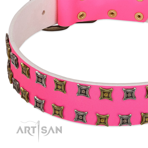 Natural leather dog collar with exceptional embellishments