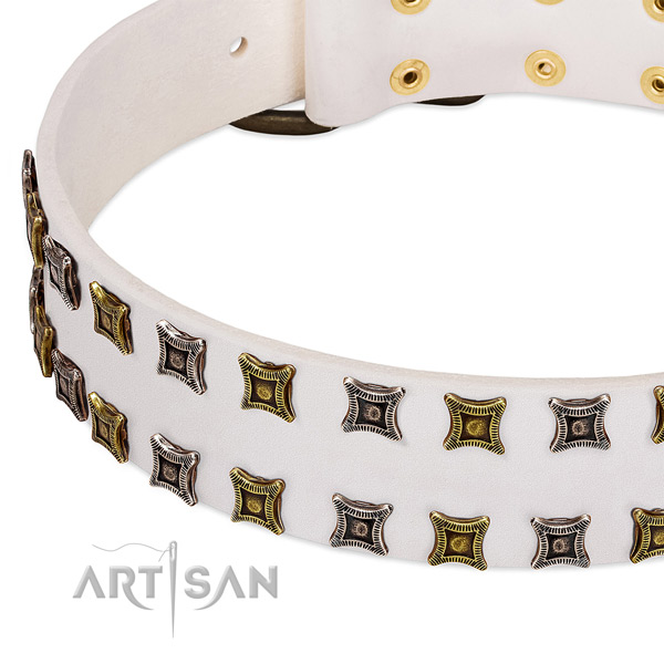 Full grain leather dog collar with adornments for your stylish dog