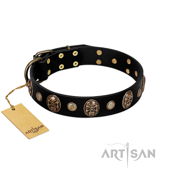 Full grain natural leather dog collar with rust-proof studs