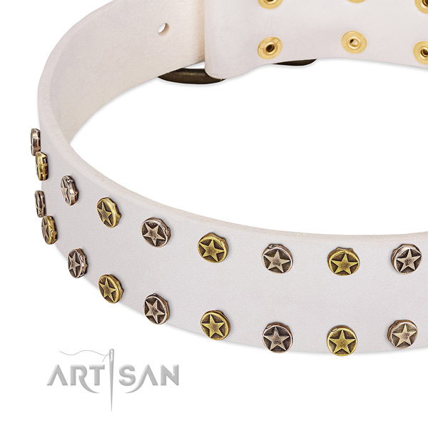 Unique adornments on full grain genuine leather collar for your four-legged friend