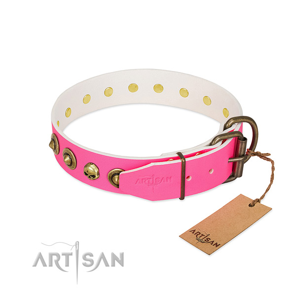 Full grain leather collar with incredible decorations for your four-legged friend