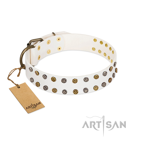 Stylish design natural leather dog collar with durable embellishments