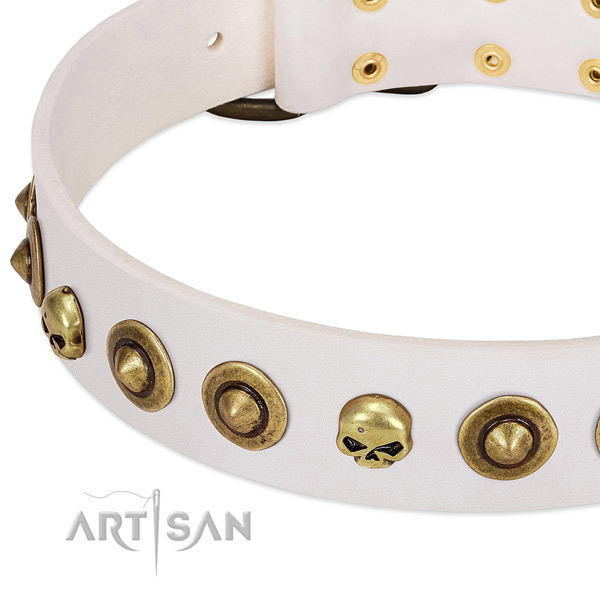 Unique studs on leather collar for your canine