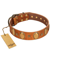 "Glossy Autumn" Designer Handmade FDT Artisan Tan Leather American Bulldog Collar with Ovals and Studs