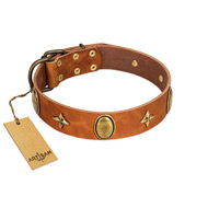 "Space Warrior" FDT Artisan Tan Leather American Bulldog Collar with Ovals and Stars