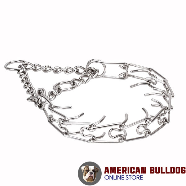 Pinch collar of stainless steel for ill behaved dogs