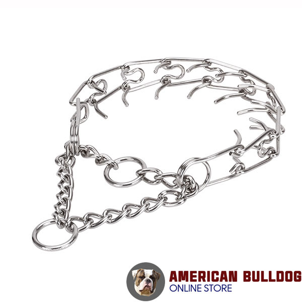 Adjustable stainless steel dog pinch collar with removable prongs for medium and large dogs
