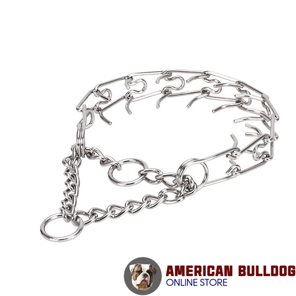 Pinch collar of rust resistant stainless steel for badly behaved canines
