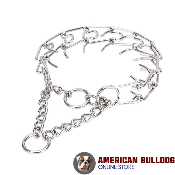 Stainless steel dog pinch collar for large canines