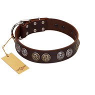 "Treasure Hunter" FDT Artisan Brown Leather American Bulldog Collar with Old-Bronze-like and Silvery Medallions
