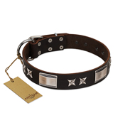 "Satin Beauts" FDT Artisan Brown Leather American Bulldog Collar with Stars and Plates