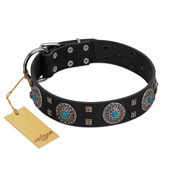 "Boundless Blue" FDT Artisan Black Leather American Bulldog Collar with Chrome Plated Brooches and Square Studs