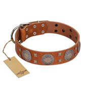 "Sun Rise Noon" FDT Artisan Tan Leather American Bulldog Collar with Unique Design