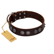 "King Arthur" FDT Artisan Brown Leather American Bulldog Collar with Spiky Plates