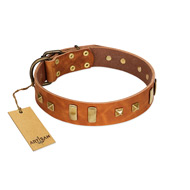 "Sand of Time" FDT Artisan Tan Leather American Bulldog Collar with Old Bronze-like Studs and Plates