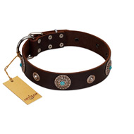 "Magic Stones" FDT Artisan Brown Leather American Bulldog Collar with Chrome Plated Brooches and Studs