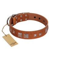 "Egyptian Gifts" Handmade FDT Artisan Tan Leather American Bulldog Collar with Chrome-plated Pyramids