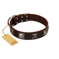 "Nut-Brown Finery" Embellished FDT Artisan Brown Leather American Bulldog Collar with Chrome Plated Crossbones and Plates