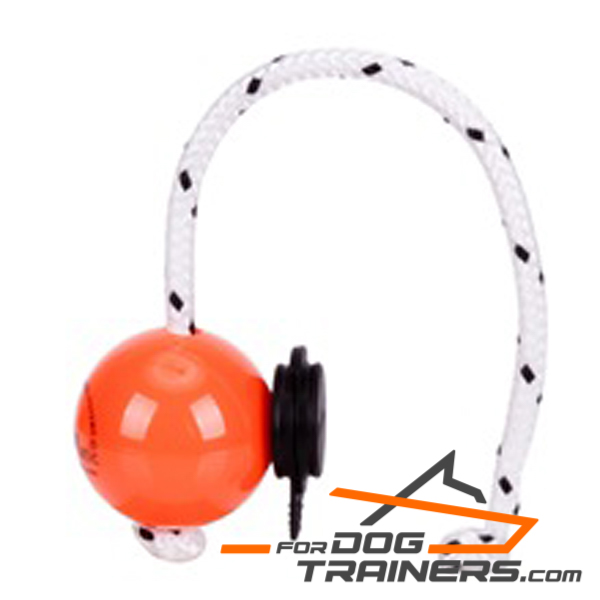 Dog training ball on rope