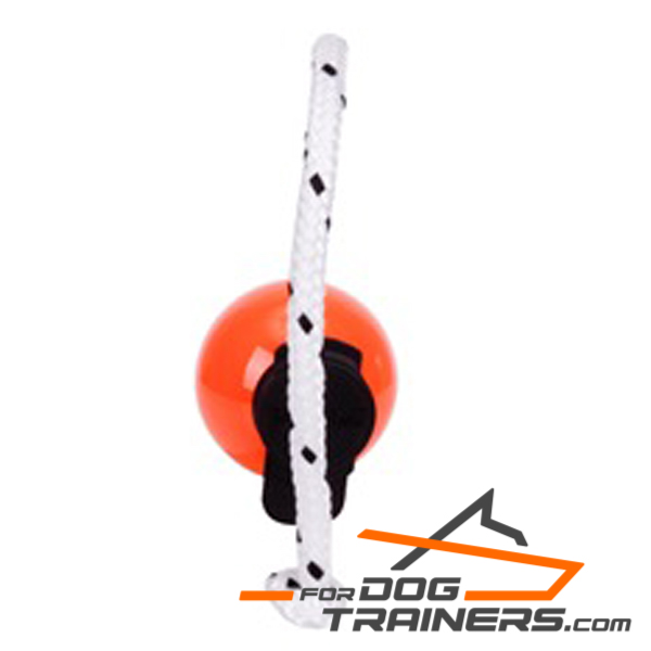 Dog training ball for fun