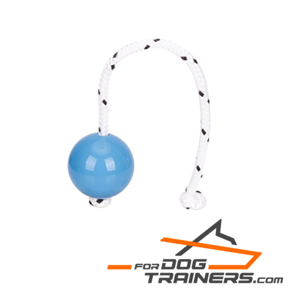 Blue ball with magnet