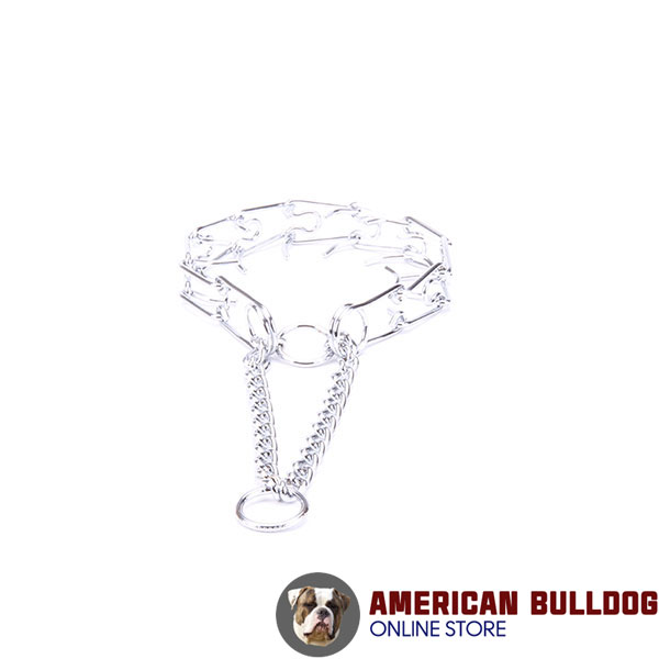 Dog pinch collar of chrome plated steel for aggressive canines
