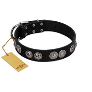 "Magic Amulete" Handcrafted FDT Artisan Black Leather American Bulldog Collar with Chrome-Plated Shields