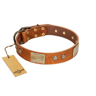 "Ancient Treasures" FDT Artisan Tan Leather American Bulldog Collar with Antiqued Plates and Studs