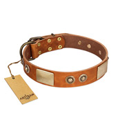 "Perfect Blend" FDT Artisan Tan Leather American Bulldog Collar 1 1/2 inch (40 mm) wide